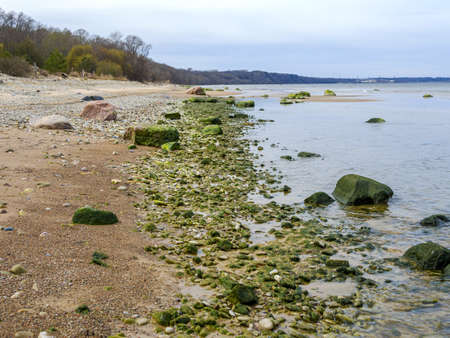 Baltic coastline under a partly cloudy sky, beautiful. Baltic Sea, rocks, landscape. close up. Green algae, Chlorophyta, floating on sea shore rocks.の写真素材