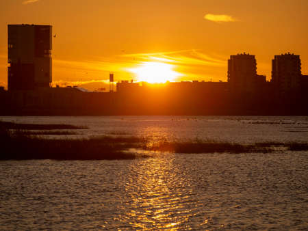 downtown buildings silhouettes. Nature Orange sea sunset in the city landscape beautiful landscape of Tallinn skyline Panoramic view on the beach. Estoniaの写真素材