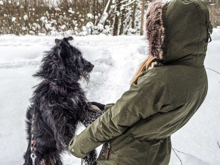 Young woman playing with funny Black pet dog with snow. on the background. Playing with the snow. Adorable dog enjoying her time, winter time. Copy spaceの写真素材