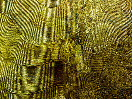Metal Golden feather on black background. Gold glitter texture. Abstract painting. Art objectの写真素材