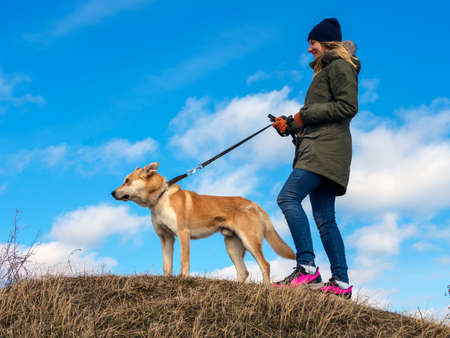 Young woman playing with funny Ginger pet dog with snow. on the background. Playing with the snow. Adorable dog enjoying her time, winter time. Blue cloudy backround. Copy spaceの写真素材