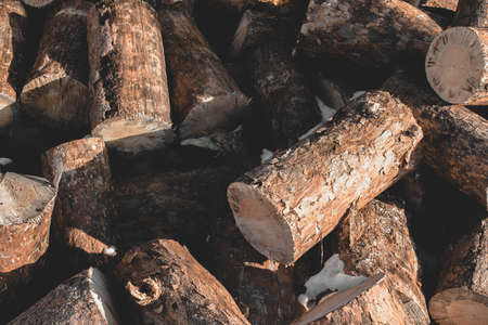 Round teak wood tree circle stump cutted group backgroundの写真素材