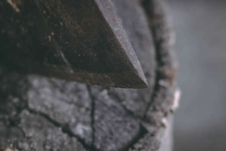 The old ax for cutting firewood sticks out in the old tree stump. A sharp ax was stuck in a round old wooden stump. Macro, closeupの写真素材
