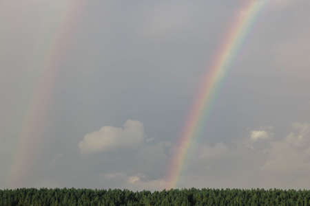 minimalistic landscape with a rainbowand and forestの写真素材