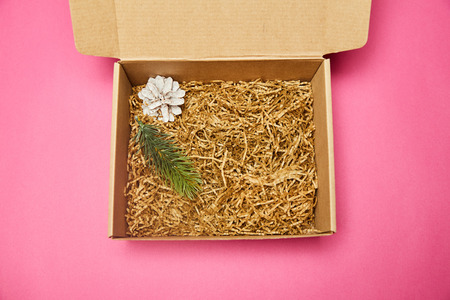Gift cardboard box. A lump and a branch ate inside. Pink background.