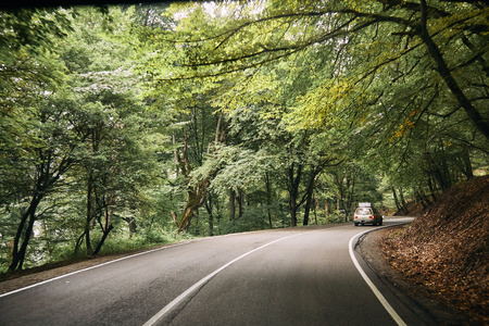 Winding road in the forest. Georgia. Summer.