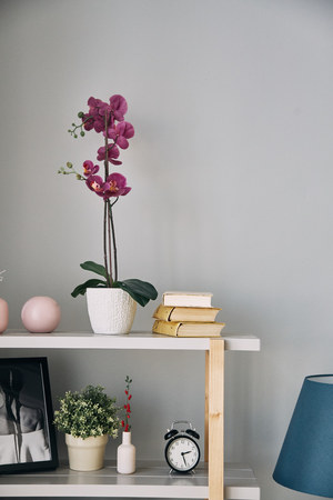 lilac flower is in a pot on the shelf. Modern interior. Watches, books, photography and other interior itemsの写真素材