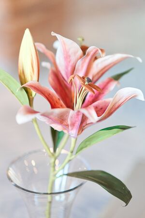 Beautiful pink lily flower in a vaseの写真素材