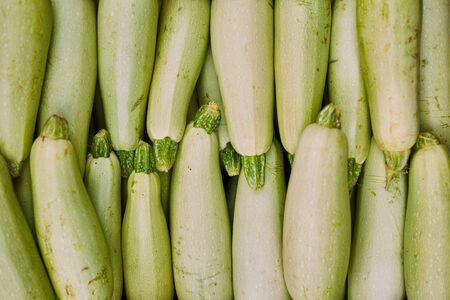 Raw green zucchini sold at a farmers market.の写真素材