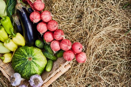 Fresh farm vegetables close up. Autumn harvest. Agricultural exhibition.