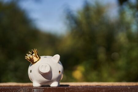 White piggy bank with a golden crown on a divided table against a background of greenery.の写真素材