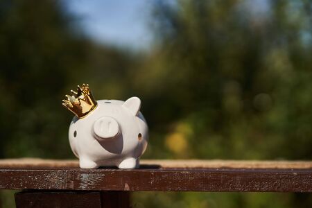 White piggy bank with a golden crown on a divided table against a background of greenery.の写真素材