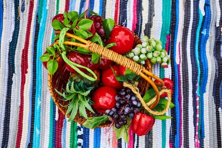 Fruit basket. Basket with apples, grapes. Fresh harvest. Agricultural Exhibition