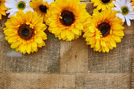 Sunflower flowers. Decor with flowers. Three sunflowers attached on a brown rag backgroundの写真素材