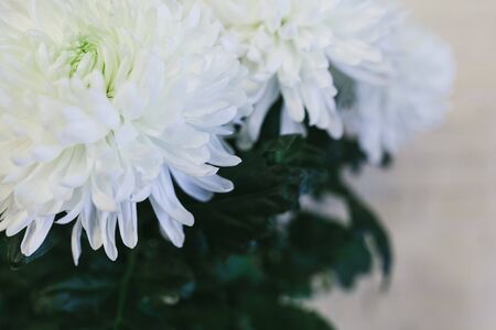 Delicate beautiful bouquet of flowers close up.の写真素材
