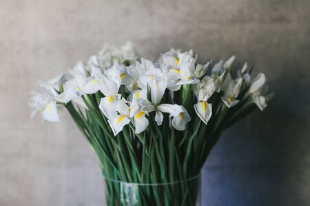 A bouquet of large white irises close up.の写真素材