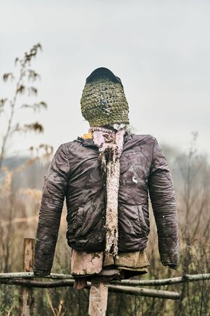 Scarecrow. A scarecrow in a garden to scare away birds.の写真素材