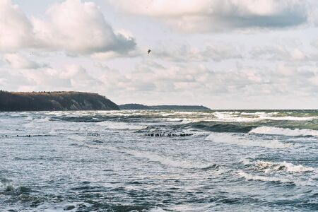 Svetlogorsk, Kaliningrad region - Baltic sea shoreの写真素材