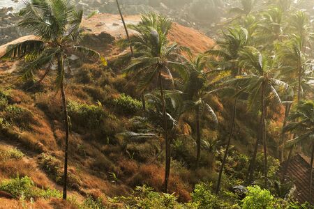 View of the ocean and landscape from Mount Arambol. India, Goa, Arambol.の写真素材
