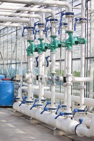 Auto watering system in the greenhouse. Large glass greenhouse. Growing vegetables in greenhouse conditions.の写真素材