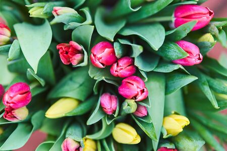 Bouquet of tulips in an iron bucket. Holiday. Gift. Natural flowers.の写真素材