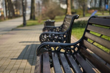 wooden bench with carved iron legs in an urban environment.