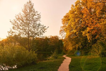 Park with a path and rows of old trees. Park Alley in the sunset