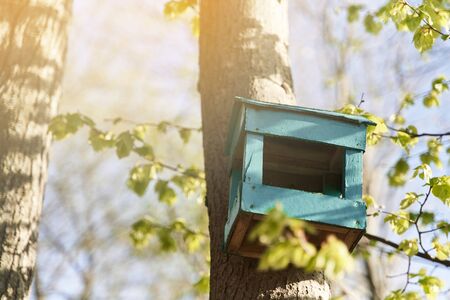 Birdhouse on a tree. A blue birdhouse is hung on a birchの写真素材