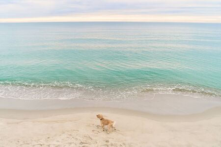 Baltic Sea. Beach in the village of Amber. Beach in Russia with a blue flag.の写真素材