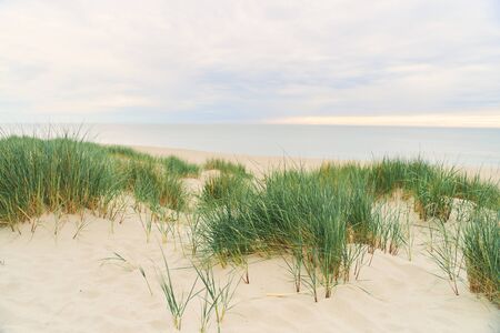 Baltic Sea. Beach in the village of Amber. Beach in Russia with a blue flag.の写真素材