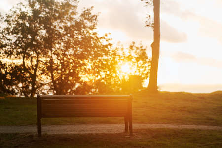 Bench in the forest against the backdrop of the setting sunの写真素材