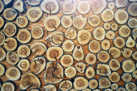 Top view of a lot of thick, chopped tree branches. table decor or details to the holiday.
