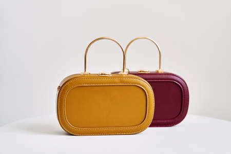 Two fashionable leather handbags for women on a white background. High quality photo