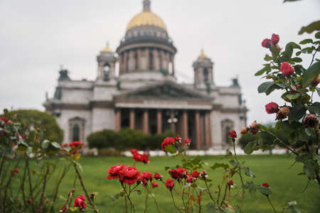 St. Petersburg, Russia - October 5, 2020: Flowers in front of St. Isaacs Cathedral. St. Isaacs Cathedral in the center of St. Petersburg.のeditorial素材