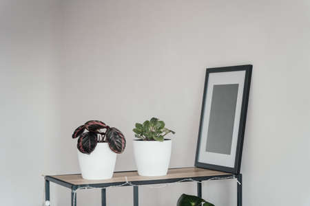 Blank wooden photo frame stands in the interior on a white background. Mockup poster frame.