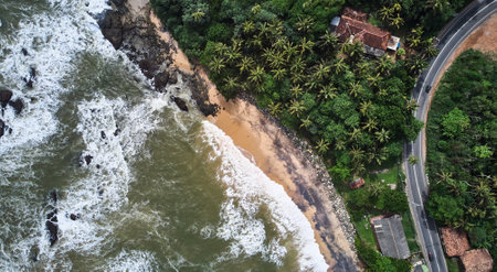 Aerial view of the beach with palm trees. Sri-lanka, Matara