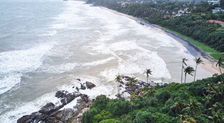 Aerial view of the beach with palm trees. Sri-lanka, Mataraの写真素材