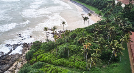 Aerial view of the beach with palm trees. Sri-lanka, Matara