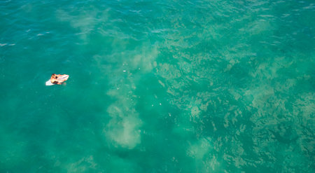 Aerial view of surfers in the ocean waiting for the wavesの写真素材