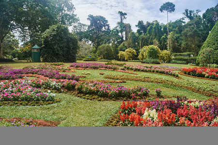 Flower beds at Royal Botanical Garden Peradeniya in Kandy, Sri Lankaの写真素材