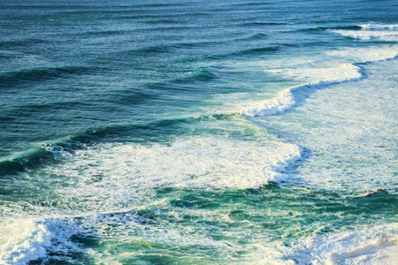 Coastal landscape with ocean, beach, and lush greenery.の写真素材