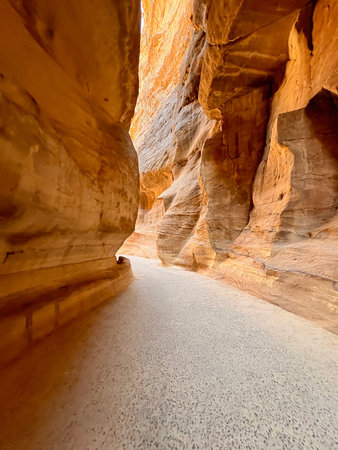 A Stunning Canyon View is Beautifully Captured in Natural Light for Everyone to Enjoyの写真素材