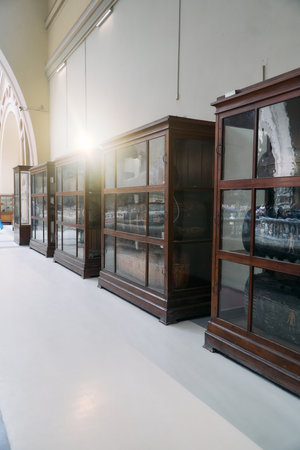 The Ancient Egyptian Sarcophagi are beautifully displayed and showcased in the museumの写真素材