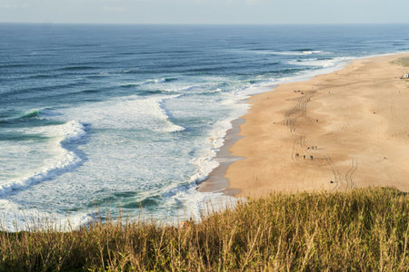 Coastal landscape from cliff, with ocean, beach, and lush greenery. Nazareの写真素材