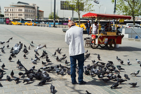 Elderly man feeding pigeons on the street in Istanbulの写真素材