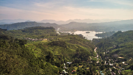 Aerial view of tea plantations in Sri Lanka. View from Adams Peak to Dalhousie village, tea...
