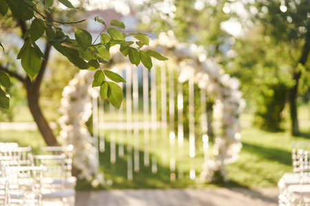 Green leaves of a tree close-up illuminated by sunbeams. Wedding arch on backgroundの写真素材