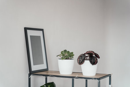 Blank wooden photo frame stands in the interior on a white background.の写真素材