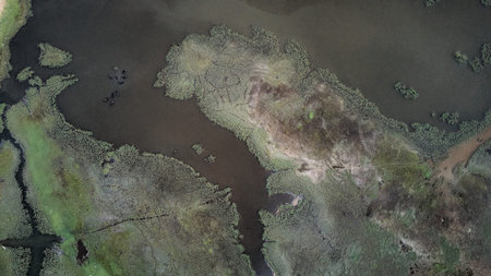 Aerial view of a swampy area