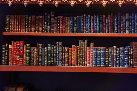 Porto, Portugal - 12.25.2022: An image of a bookcase filled with publications in a libraryのeditorial素材